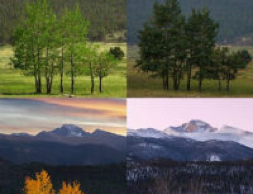 Seasons of Colorado