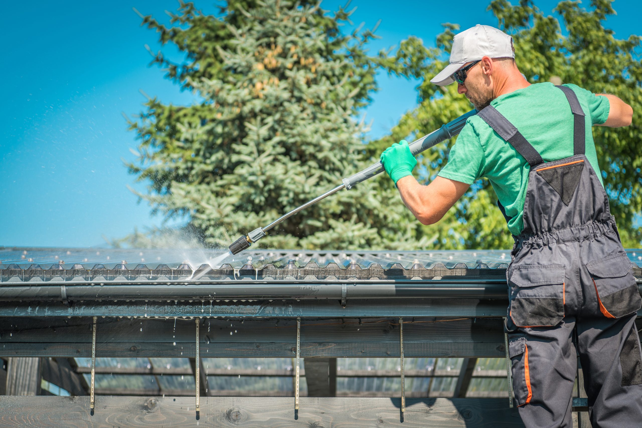 Roof and Gutters Cleaning Clean the roof
