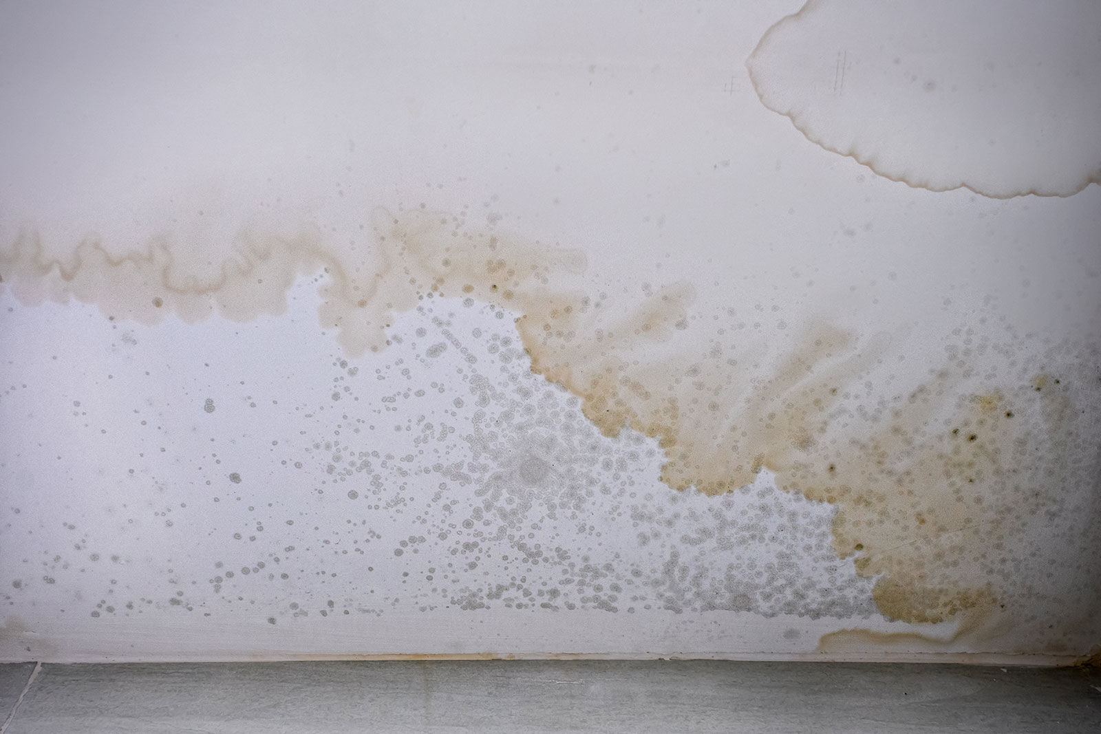 Common Causes of Roof Leaks in Amarillo