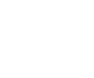 ECG Roofing Repair Icon - White