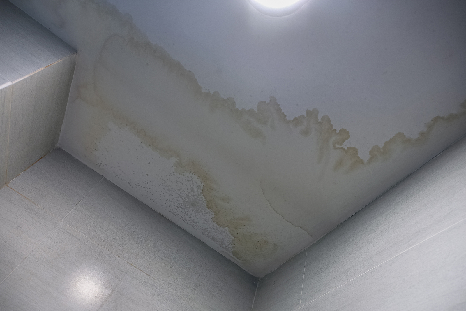 Leaks and Water Stains Leaks and Water Stains
