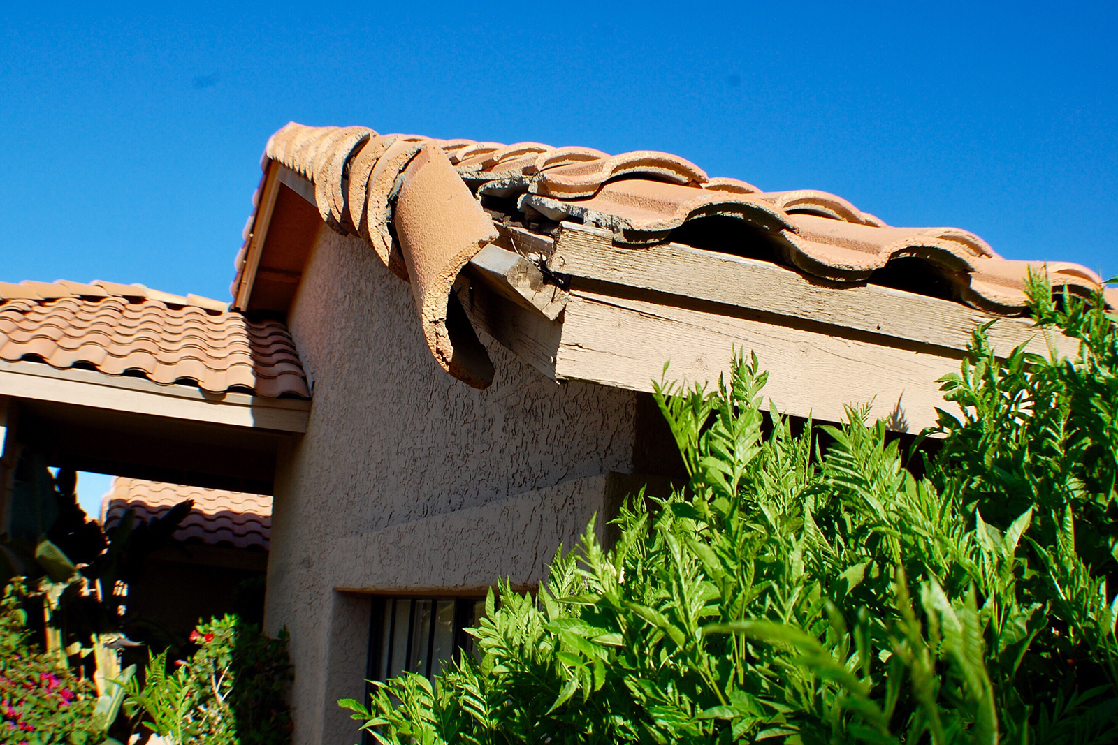 Missing or Damage Shingle Missing or Damage Shingle