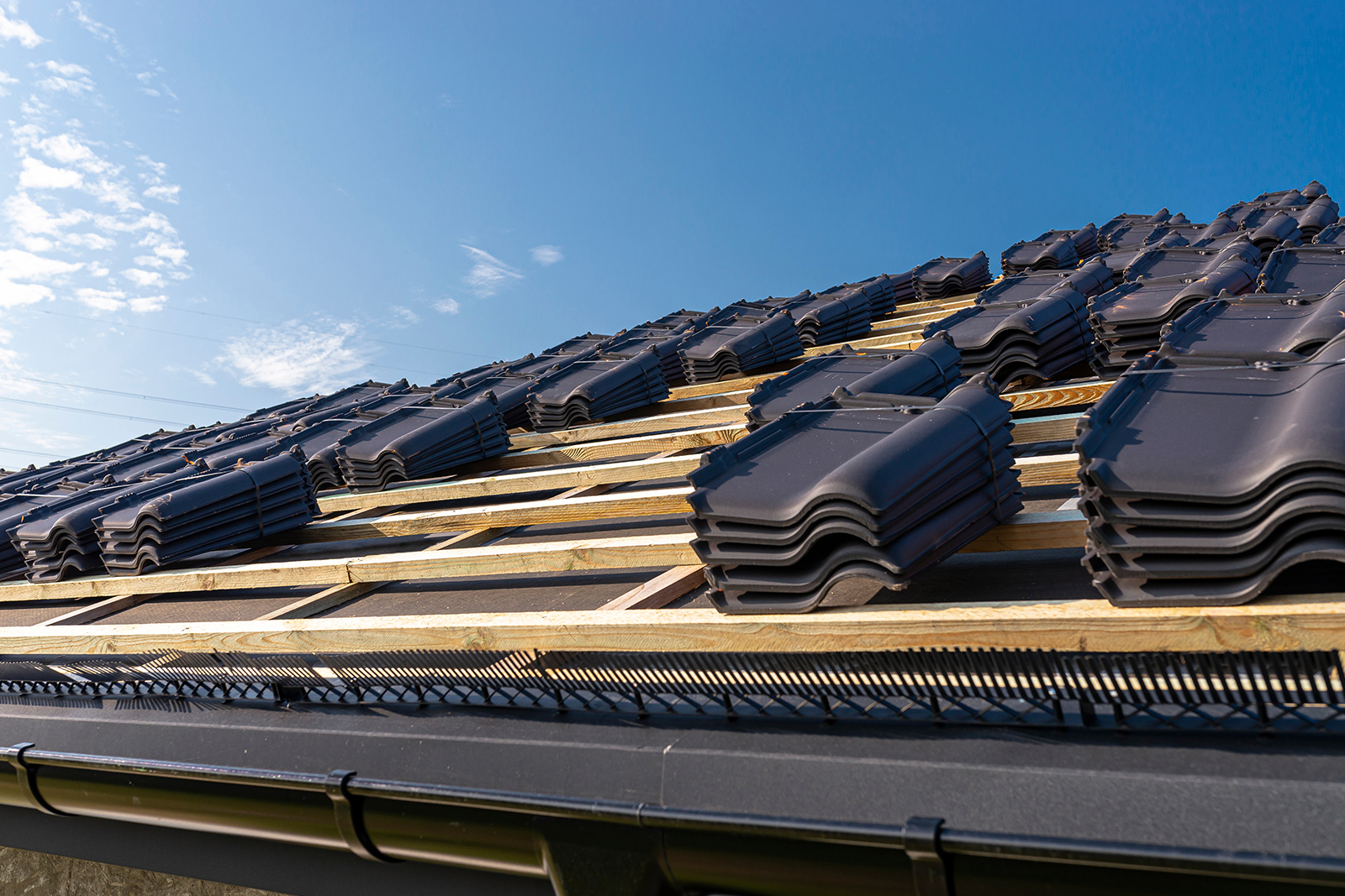 1.10 Roof and Gutters Free Inspection