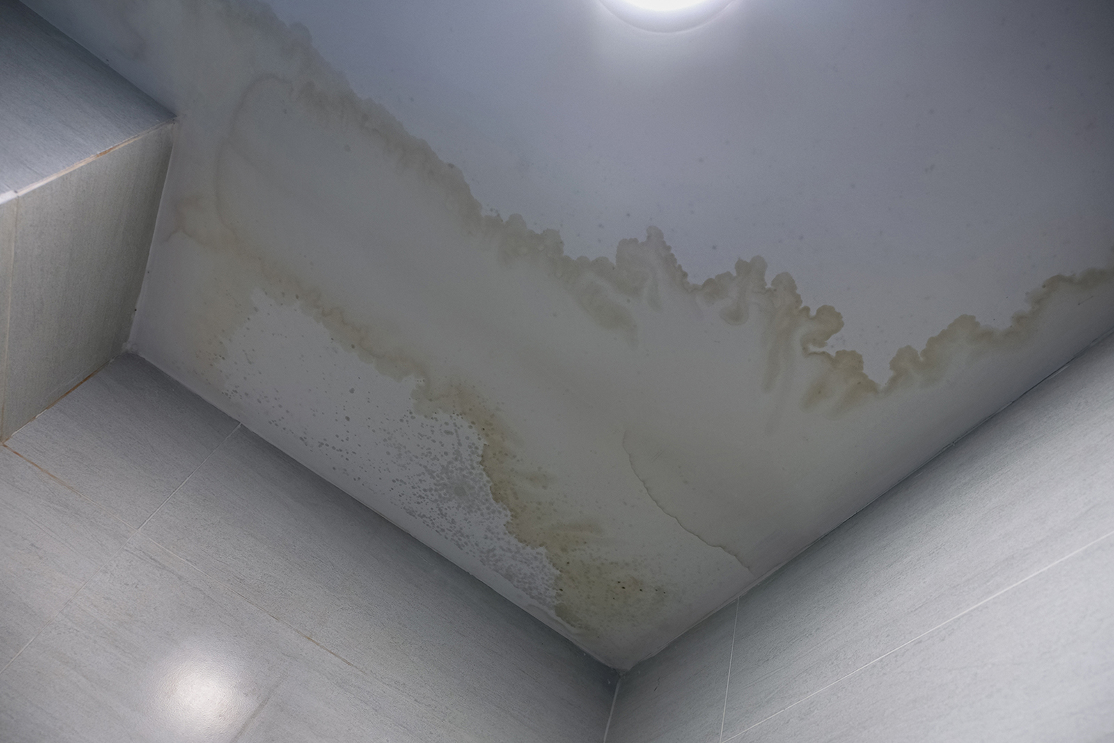 123sd Prevent Water Damage