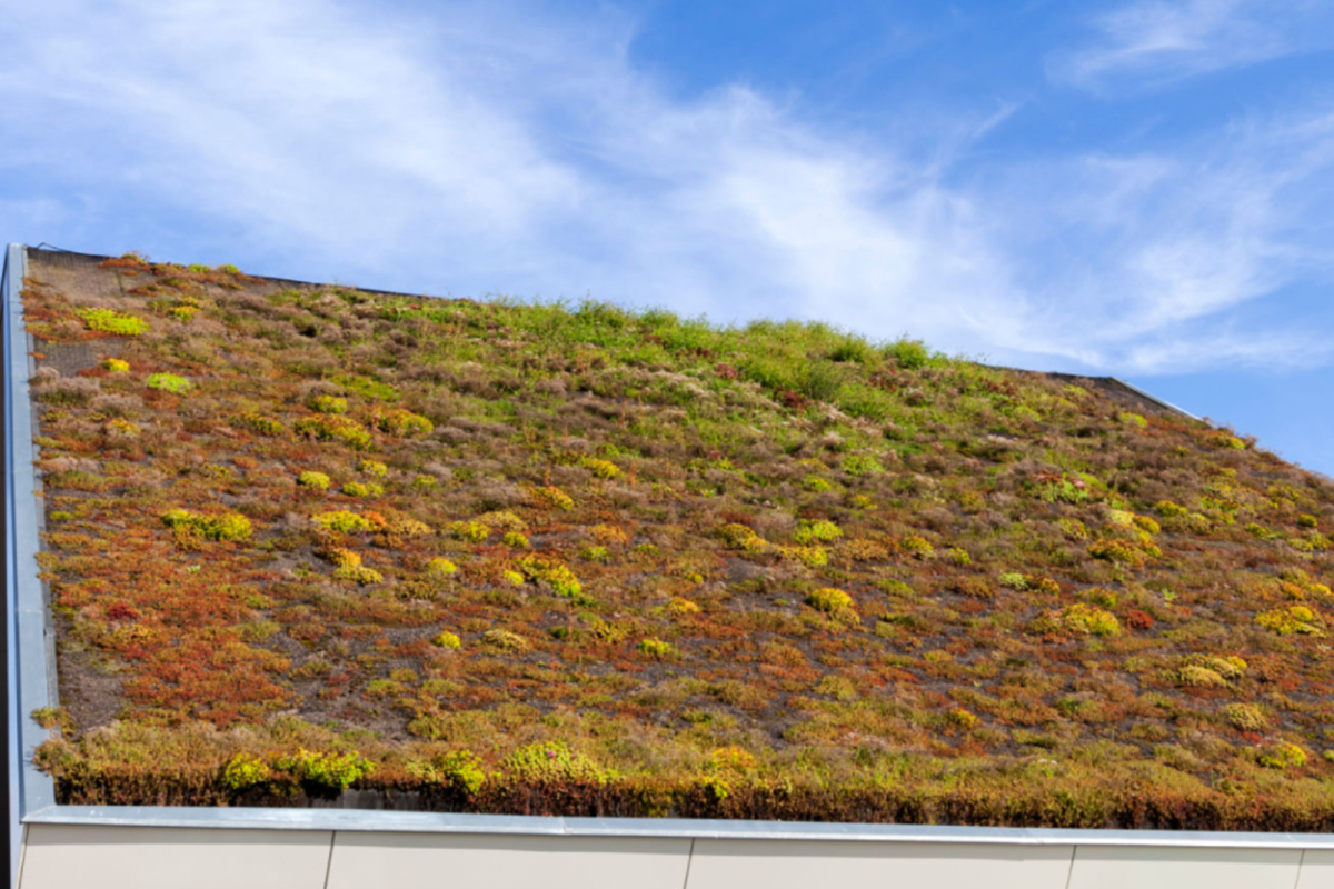 Green Roof Installation Cost Calculator | Instant Estimate - Green Roof Installation Costs
