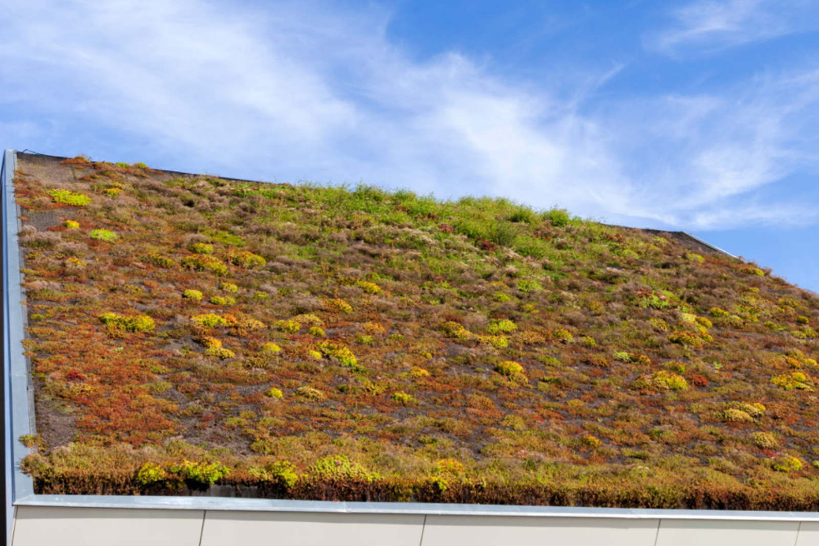 1f Disadvantages of Green Roofs
