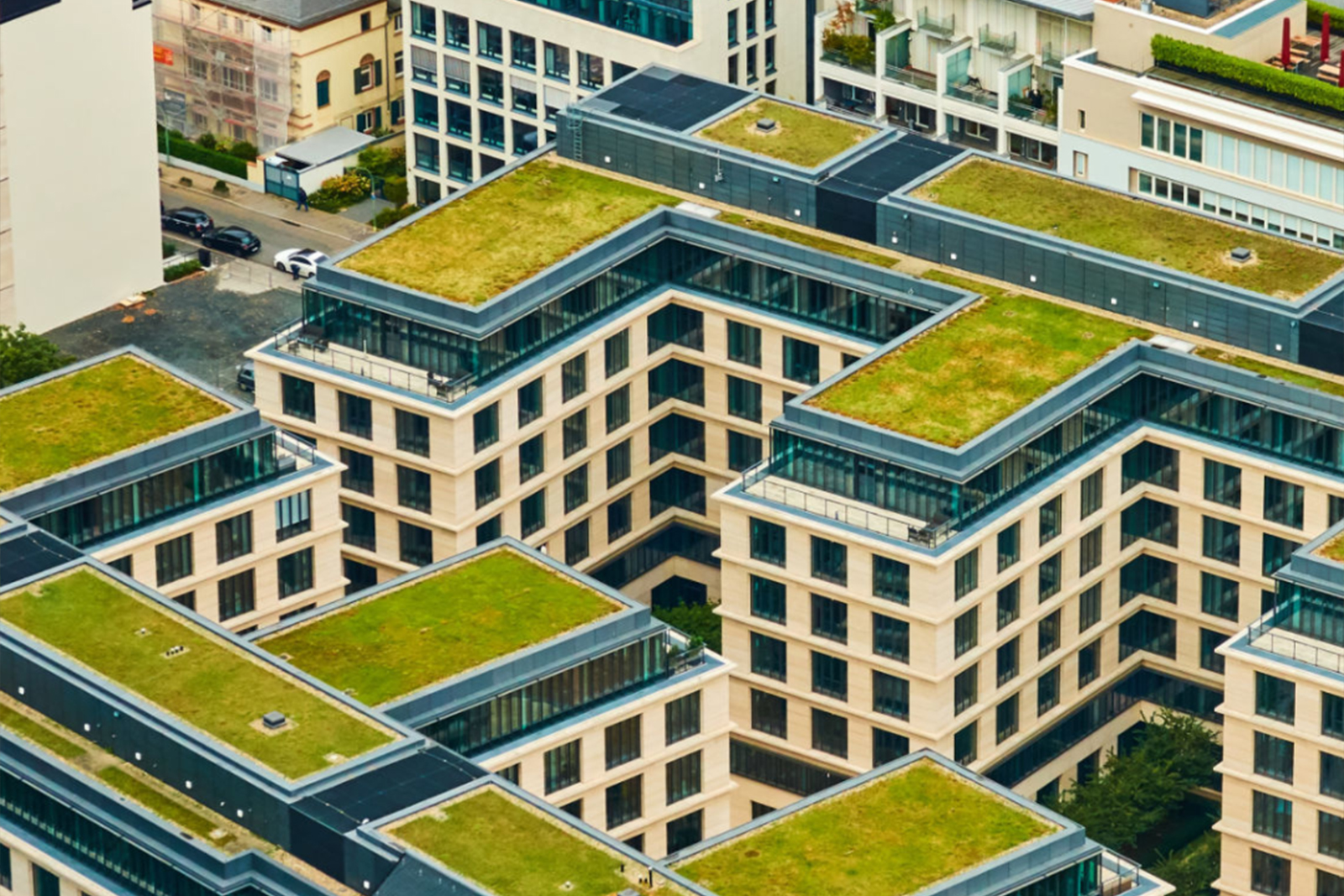 Advantages of Green Roofs