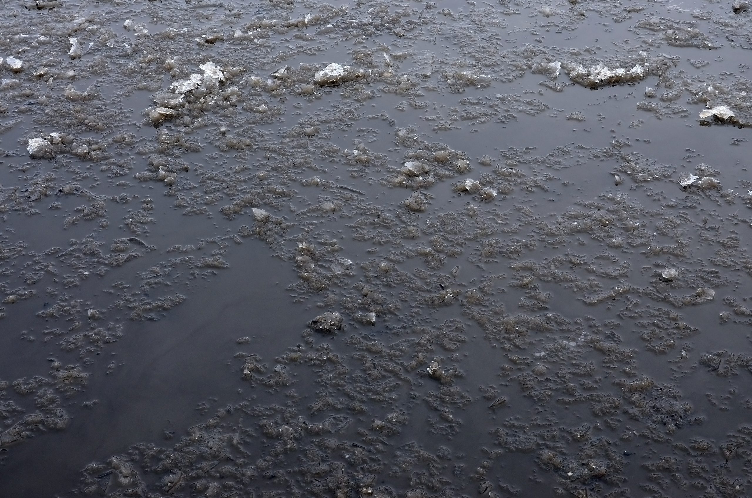 Damaged asphalt road with potholes, filled with water with ice, How to Fix Standing Water on a Flat Roof