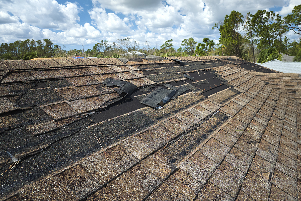 How to get insurance to pay for roof replacement