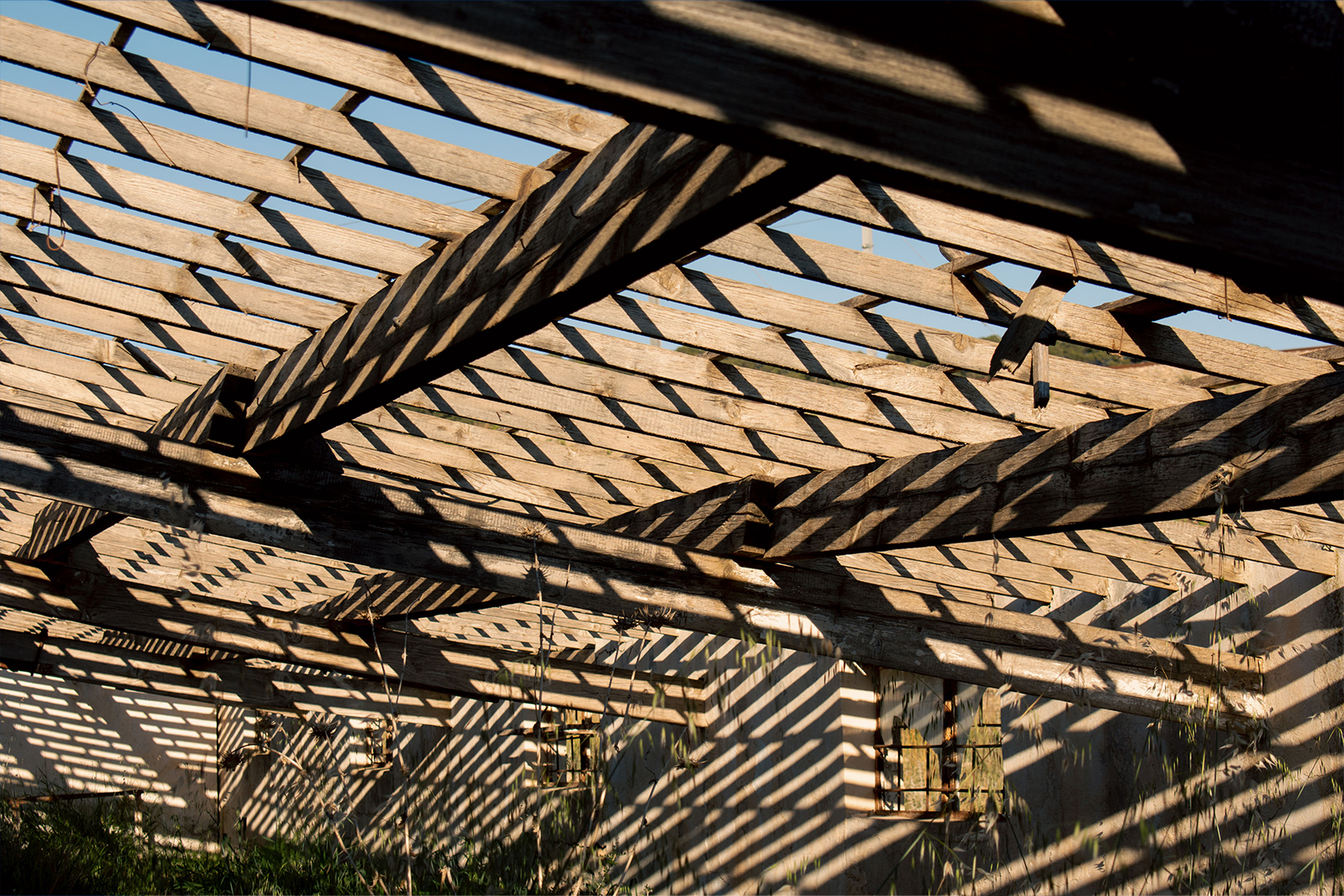 Modern Shed Roof