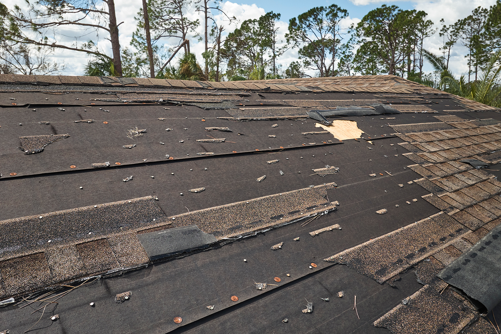 Proactive Actions To Reduce Storm Damage