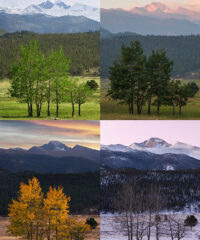 Navigating Colorado Weather: A Roofing Perspective-photo
