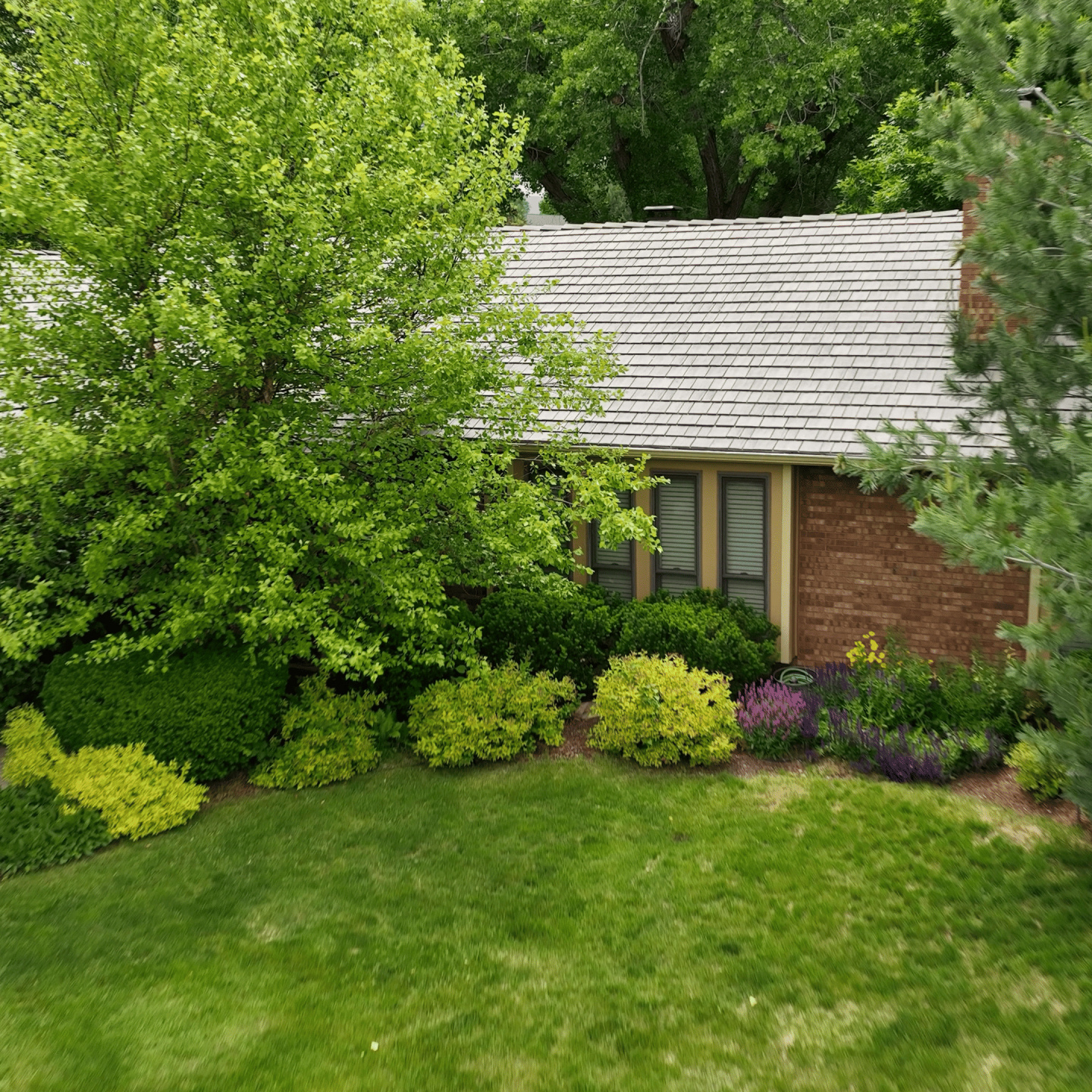 81 Fairway Ln, Littleton, CO 80123-photo