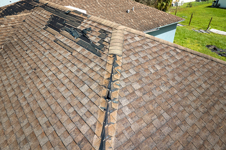 Shingle Blistering Vs Hail Damage-photo