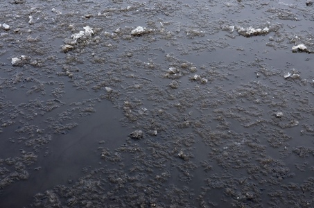 How to Fix Standing Water on a Flat Roof-photo